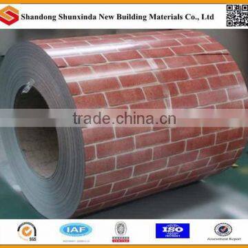 wood pattern design steel coil /PPGI /PPGL