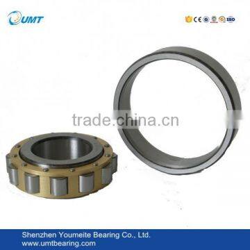 High Quality Cylindrical Roller Bearing NU304E