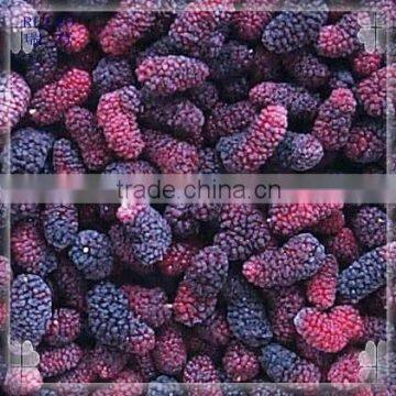 Top Quality Frozen Mulberries