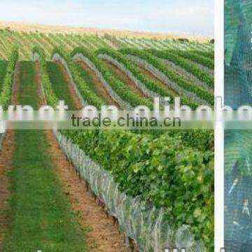 large overhead anti UV anti bird netting /drape over netting system