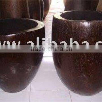 Palm Pot