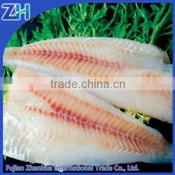 Frozen hake fish fillet for sale