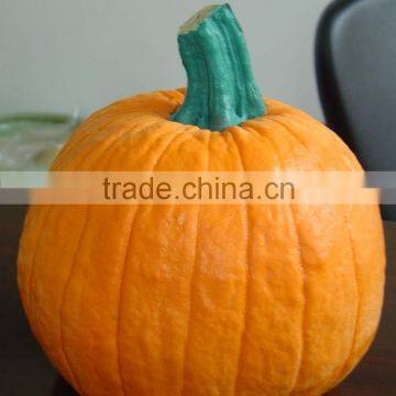 PU foam pumpkin