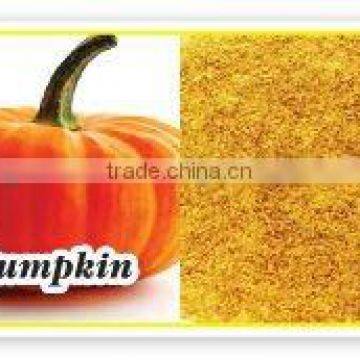 Drum Dried Pumpkin Powder