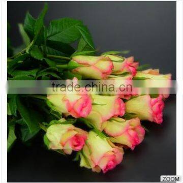 Long stem glass flowers The Tea Roses on sale