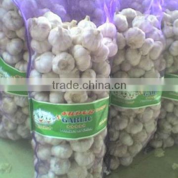 White Garlic