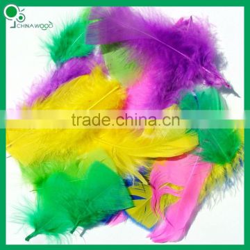 Craft Bright Feathers Turkey