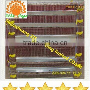 china zisa factory atomatic quail cage equipment