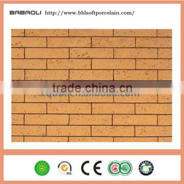 New Kind of Building Ceo-decorative Material Outdoor Decorative Tiles for Interior and Exterior photo-2