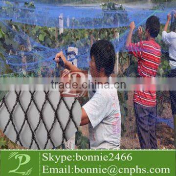 invisible bird netting for protect plant