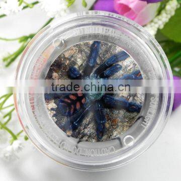 New Funny Kids Gift Educational Plastic Toy Magnifying Glass photo-5