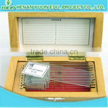 plastic microscope slides box