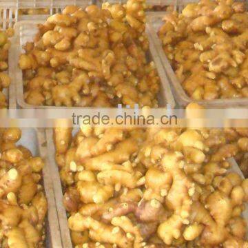 Sell Ginger