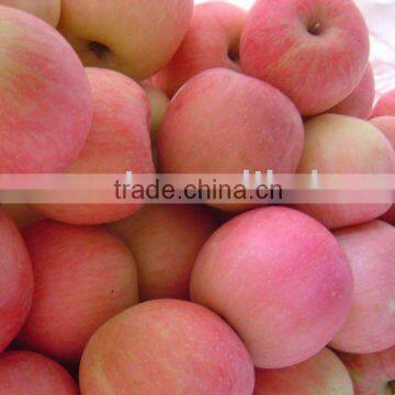 fresh Fuji Apple 2010 DT