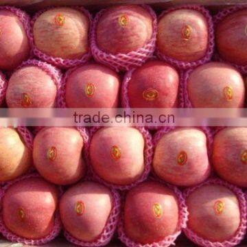 Red Color Fuji apple Fresh Style fruits fresh fuji apple fruit for sale Fuji apple exporter in China