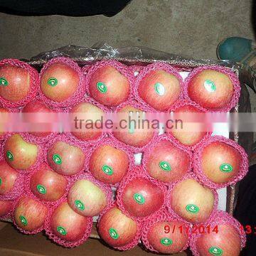 2015 new crop of fresh royal gala apple from Shandong province China