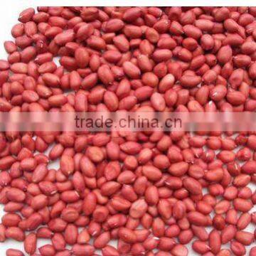 BOLD GROUNDNUT 60/70