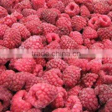 Wholesale IQF Berries/ Raspberry/ Blueberry/ Blackberry From China