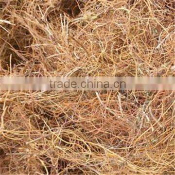 Low Price New Crop Radix Gentianae