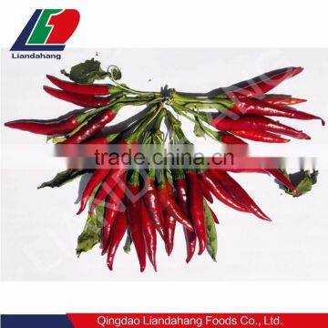 2016 new crop Japones Chilli from China