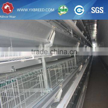 Factory price with Poultry Cage to African market