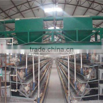 poultry farming equipment automatic chicken feeding machine