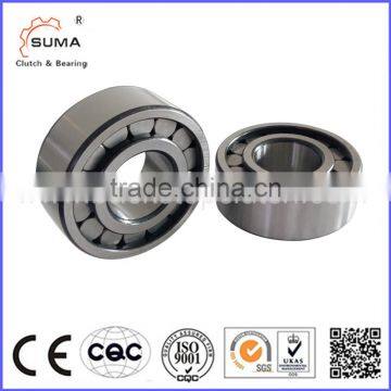 SL1922307 High Rigidity Full Complement Cylindrical Roller Bearing for Reducer