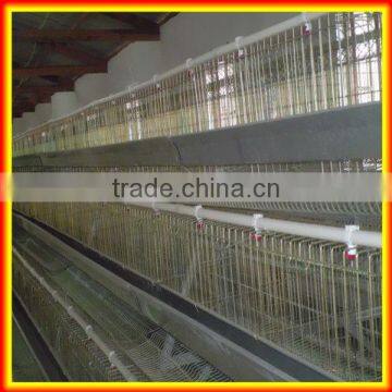 2016 Hot Sale Galvanized Welded Layer Chicken Cage / Poultry Welded Cage