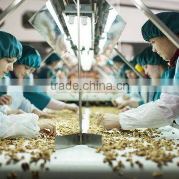 Walnut Kernel Multiple Layer Continuous Type Mesh Belt Dryer photo-4