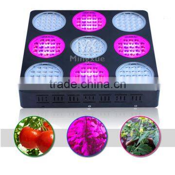 600W Spectrum Slective Led Grow Light,High Performance Led Grow Light