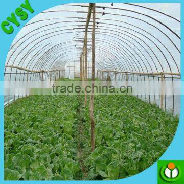 High Quality PE Material Clear Plastic Greenhouse Film/grape Cover Plastic Film