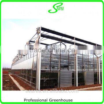 Multispan Tunnel Greenhouse for Strawberry Grape Raspberry , Agricultural Green Houses photo-6