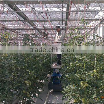 Chian Xinhe Large Multi-span Glass Greenhouse Commercial Greenhouses photo-2
