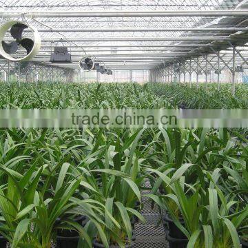 Flower cultivation greenhouse for sale