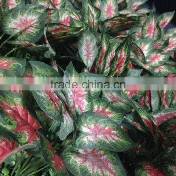 High Quality Artificial Plant Wall Fake Wall Plant photo-5