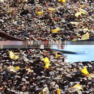 High Grade and Quality D Shape Wooden Handle Camping Shovel/farming Shovel/garden Shovel photo-4