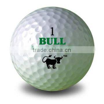Golf Ball Sticker Logo Golf Driving Range Ball photo-2