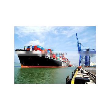 Professional international sea freight forwarder