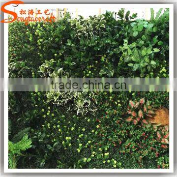Wholesale Plastic Vertical Garden Green Wall Combination photo-2