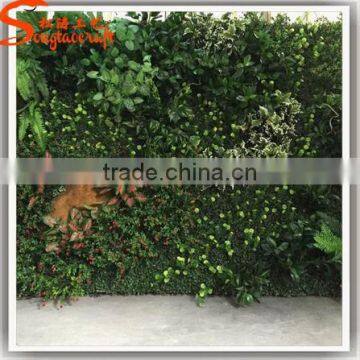 Wholesale Home Decor Plastic Green Wall Modular Green Wall System photo-5