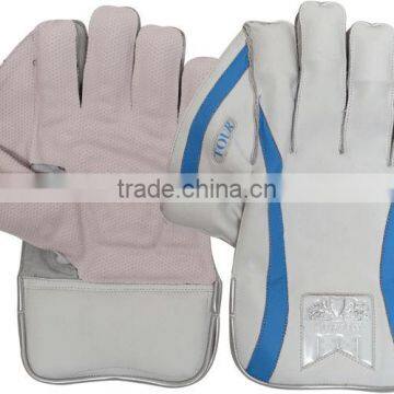 Wickets Keeper Gloves