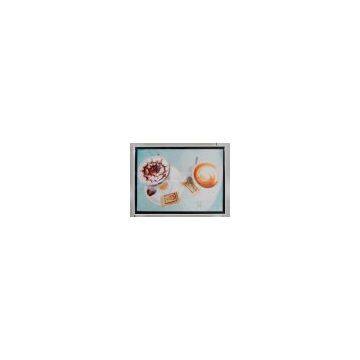 Sell 2011 LED Backlit Panel photo-2