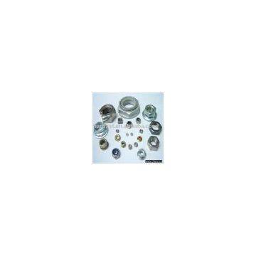 Stainless Steel Nuts (fastener)