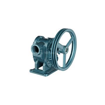 BP CI SS low speed high viscosity belt gear pump