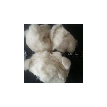 Fine Microns Lambs Wool Waste