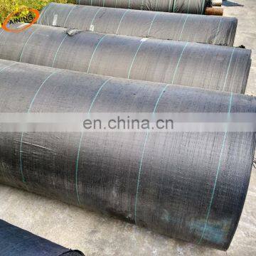 PP Plastic Ground Cover Cloth Green Color for Strawberries photo-5