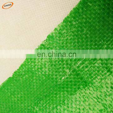 Clear green pe tarpaulin agricultural ground cover