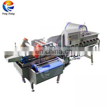 Industrial Automatic Vortex Fruit and Vegetable Washing Machine photo-2