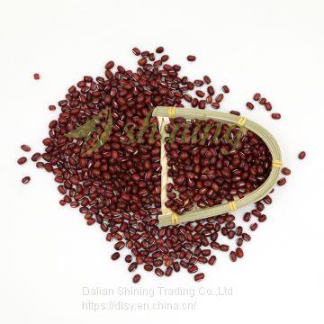 New crop wholesale price aduki beans for sale