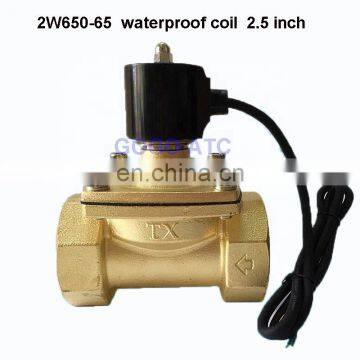 2.5 inch 2W650-65 underwater jump spring solenoid valve full copper water valve gas valve DN65